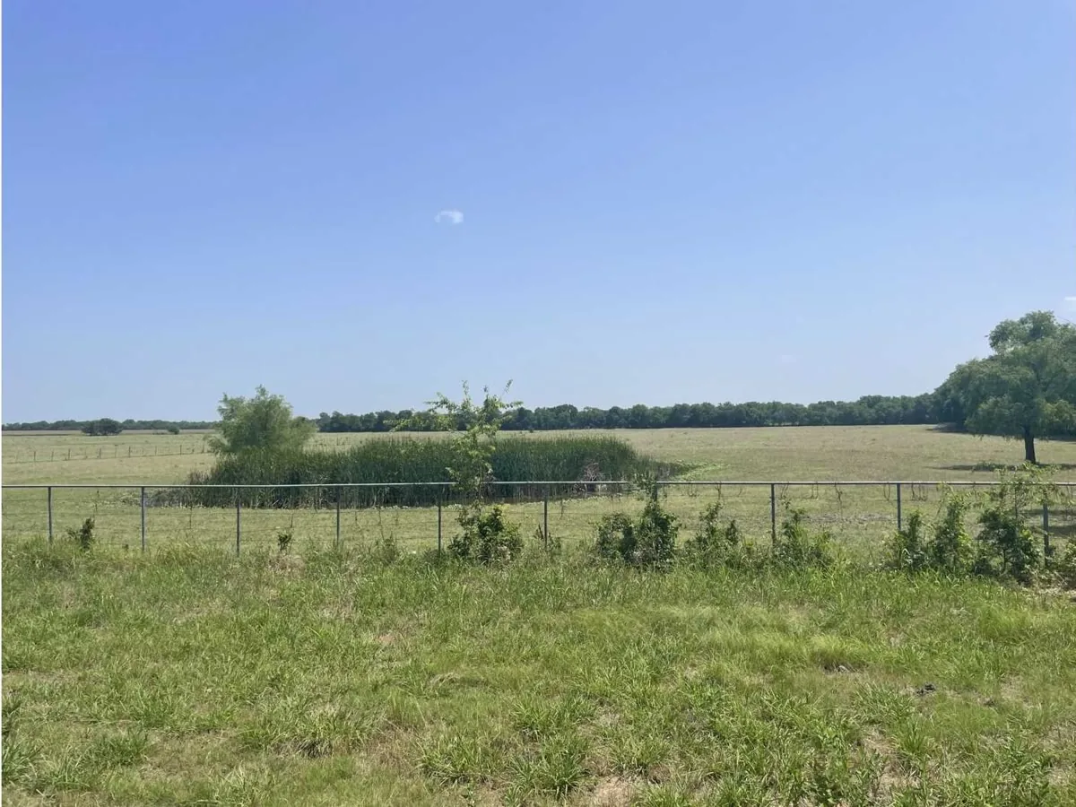 A wire fence line crossing mown pasture with mature trees along the boundary behind it