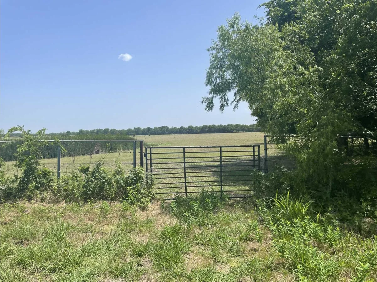 A pipe farm gate in a wire fence opening onto flat open pasture, with a tree line on the far horizon